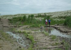 Volop water, modder en hout in de Speelnatuur.