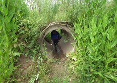 En wat buizen om doorheen te kruipen.