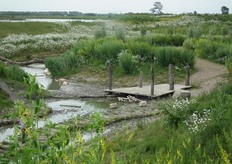 "Sigrun vertelde dat dit gebied vorig jaar nog helemaal kaal was. "Het uitgangspunt was een kaal grasveld met een sloot eronder."
