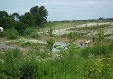"Voor het ontwerp is ook de hulp gevraagd van kinderen. "We lieten hen een speellandschap maken. Zij gingen vooral voor veel reliëf en tekenden weinig bomen en bossen. Ze konden zich volgens mij niet voorstellen dat die hier konden groeien."