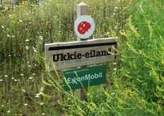 Voor de allerkleinsten is Ukkie-eiland het meest geschikt.