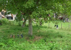 Niet alle kinderen komen met een complete outfit uit de Speelnatuur.