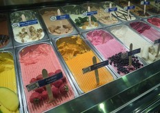 Het ambachtelijke biologische ijs wordt inmiddels landelijk verspreid.