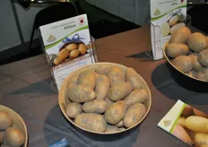 Europlant heeft verschillende biologische aardappelrassen, bijvoorbeeld deze Allians.