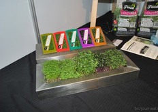 Nieuw in 2014, vijf biologisch geteelde cressen.