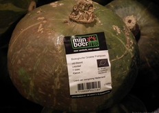 Deze biologische groene pompoen is afkomstig van bio-teler van de Weerd uit Lelystad. Dat wordt mooi duidelijk op de sticker.