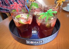 De deelnemers konden tijdens de presentaties proeven van diverse Bionade-cocktails.