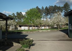 De zon zorgt ook bij Martin voor een groeispurt bij de fruitbomen.