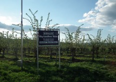 Martin Ritter teelt op zijn bedrijf een deel van de biologische vlierbessen die in de Bionade Holunder (Vlierbes) worden verwerkt.