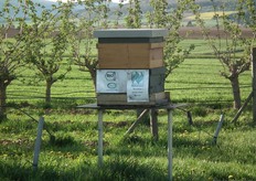 Uiteraard mag een bijenkas niet ontbreken op de boerderij.