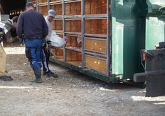 Een deel van de biologische kalkoenen werd ingeladen, terwijl eigenaar Martin Ritter meer over zijn bedrijf vertelde.
