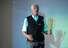 In het brouwproces mag gerst uiteraard niet ontbreken.