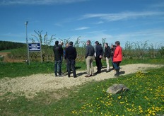 Al met al was het een zonovergoten Bionade Experience.