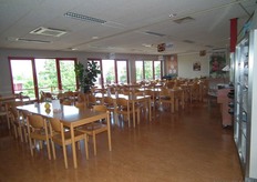 Ook in het bedrijfsrestaurant is het nodige gebeurd. De natuur is hier naar binnen gehaald.