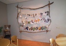 Met takken uit de natuur is dit originele mededelingenbord gecreëerd.