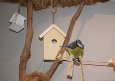 Ook aandacht voor het Red de Rijke Weide-project, waaraan Natudis zich verbonden heeft.