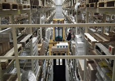 De dozen kunnen meteen op de pallet geplaatst worden.