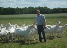 Piet den Hertog, de eigenaar van de Mèkkerstee, tussen de geiten.