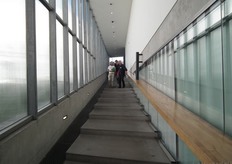 Velen grepen ook de kans om een kijkje te nemen bij de bijenvolken op het dak van de Kunsthal.