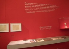 Uitspraak Steiner over Organisch design.