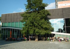 De groepjes op het terras vanaf het grasveld gezien.