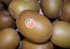 Zespri SunGold-kiwi's.