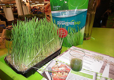 "Sven: "De meeste mensen zijn positief verrast over de smaak van het sap."