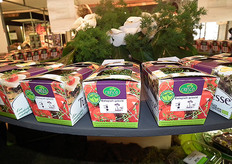 Onder andere biologisch geteelde cressen.