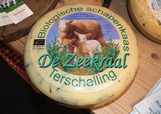 De Zeekraal is gevestigd op Terschelling.