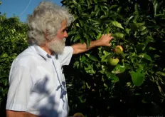 Teler Pantelis Petropoulos laat de vruchten aan één van de grapefruitbomen zien.