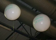 Luid en duidelijk... Deze ballonnen sierden het plafond boven de stand van TerraSana.