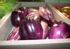 Deze ronde aubergine 'Sabel' is één van de favorieten van Heleen.