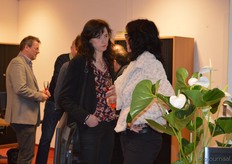 Het kantoor werd opgefleurd met allerlei cadeaus, waaronder veel bloemen en planten.