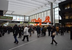 Rijen voor de kassa.