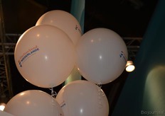 De Nederlandse exposanten waren veelal te herkennen aan deze ballonnen in de stand.