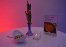 De Nederlandse tulp mocht hier uiteraard niet bij ontbreken.