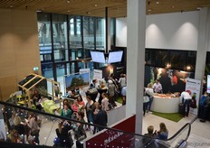 Door de hoge plafonds is het Amtrium een heel open ruimte geworden.