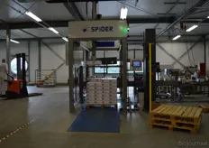 De Spider stapelt de dozen automatisch op het pallet.