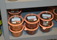 Cornelia van De Fruitgaard weckt speciaal voor Opgeweckt Noord.