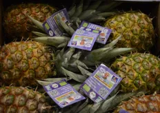 Ook lagen deze biologische ananassen onder het Nature & More-label van het Nederlandse bedrijf Eosta in één van de stands.