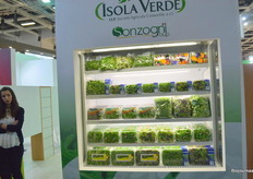 Versgesneden en biologische babyleaf sla en andere groenten bij Isola Verde.
