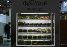 Isola Verde richt zich op de markt voor sla en salades.