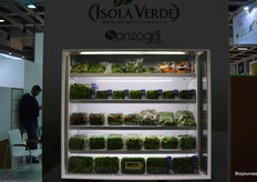 Isola Verde richt zich op de markt voor sla en salades.