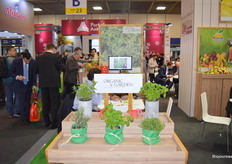 Vanuit Colombia kwam Claudia Matiz naar Berlijn voor de presentatie van de verse kruiden uit de tuinen van Organic Garden.