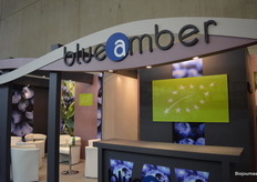 Blueberries en het prominente bio-label zeggen genoeg. De lege fles wijn vertelt dat ik iets eerder had moeten komen voor een foto met de mensen achter dit Poolse bedrijf.