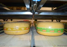 In het kaasmagazijn liggen allerlei kazen klaar om verwerkt te worden.