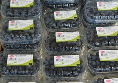 Blauwe bessen in de aanbieding, lekker en gezond.