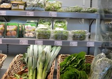 Spelen met kleur, rode radijs, wit/groene prei en groene romaanse sla.