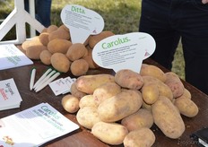 Onder andere meer informatie over de Ditta en de Carolus.