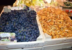 Rungis presenteerde onder meer deze BD-druiven van kwekerij Nieuw Tuinzight en daarnaast liggen biologisch cantharellen.